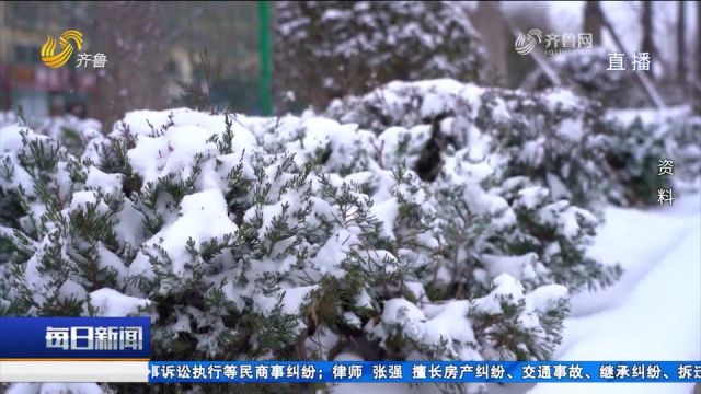 降雪又起!山东暴雪+道路结冰双预警连发,自西向东迎大范围降雪