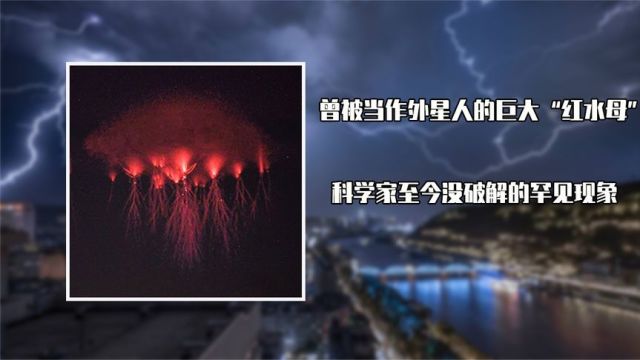 曾被当作外星人的巨大“红水母”,科学家至今没破解的罕见现象