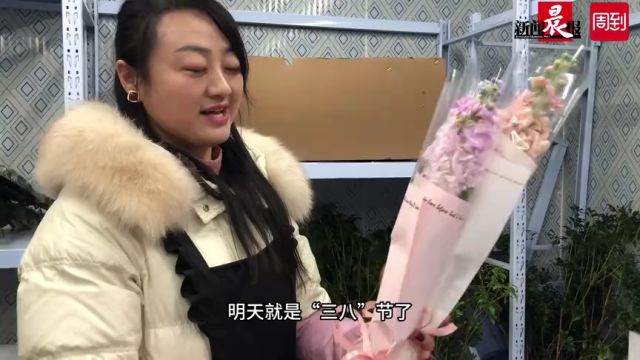 妇女节,实惠单支花束更畅销!玫瑰、康乃馨不再是唯一,粉色郁金香显温暖,紫罗兰更特别