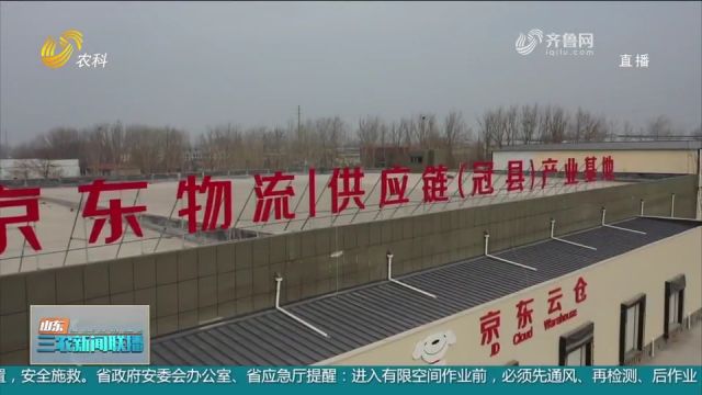 畅销!京东物流供应链产业基地落户,冠县特产坐上“京东云仓”