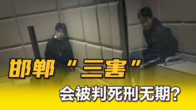 全网关注!邯郸“三害”,会如何判刑?法律会因此修改吗?