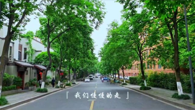 长长的路,我们慢慢地走,感谢有你的陪伴,让我有勇气走到现在