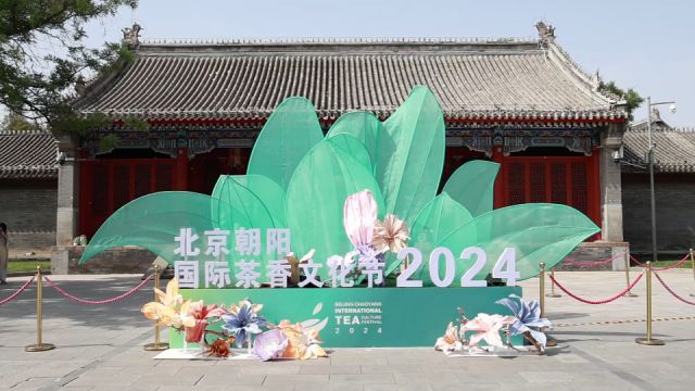 奔赴茶文化之旅!2024北京朝阳国际茶香文化节拉开帷幕