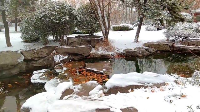 博览视频︱雪中即景