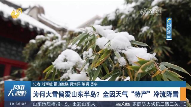 为何大雪偏爱山东半岛?“雪窝子”全因天气“特产”冷流降雪