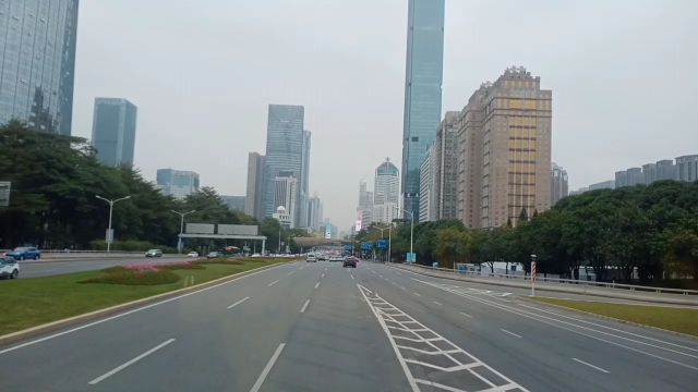 深圳上班路上的风景