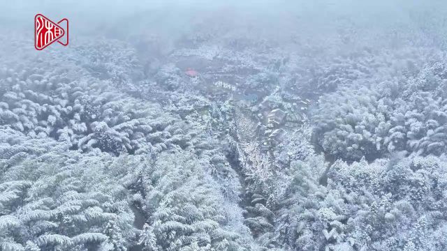 视频 | 株洲:漫天飞雪,如梦似幻