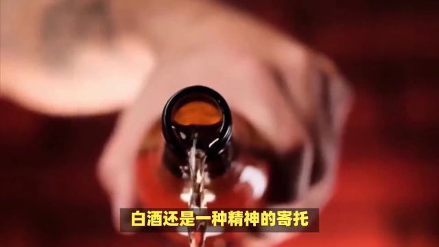 中视铭酿:中国酒韵