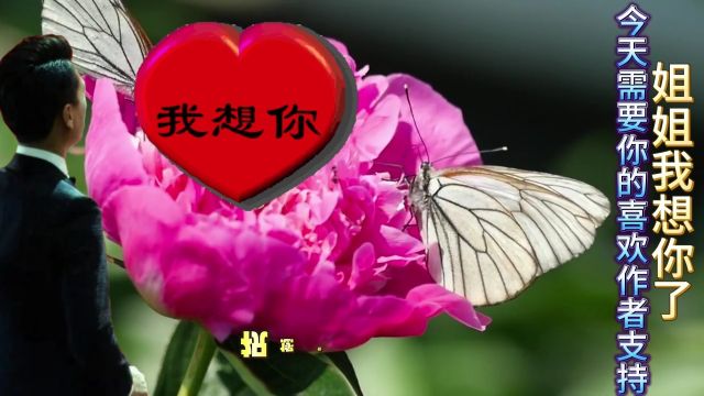 新客户欢迎语1 语录爱你入了骨!