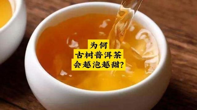 为何古树普洱茶 会越泡越甜?#普洱茶 #茶知识 #爱喝茶的关注我