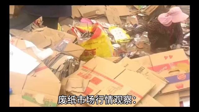 废纸市场行情观察:价格波动、地区调整与需求动态