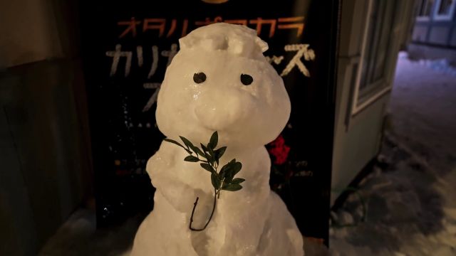 北海道小樽雪灯祭 人家的雪玩的花 各种各样的雪人