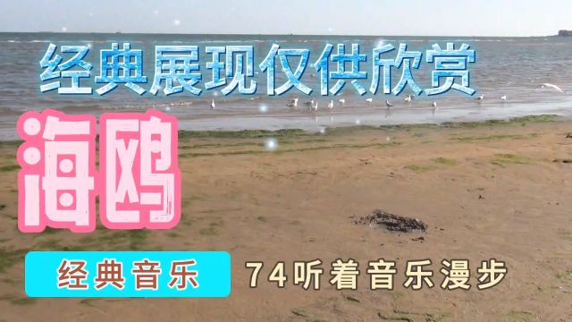 听着音乐漫步74,海鸥