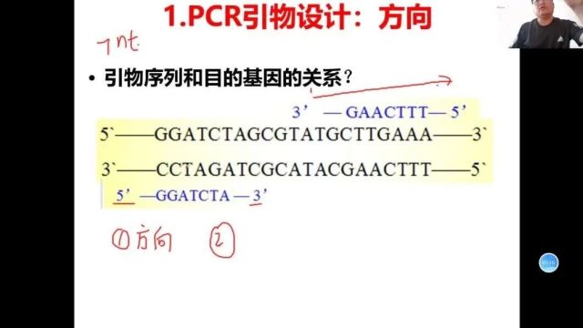 2024年生物高考二轮复习:基因工程PCR引物设计