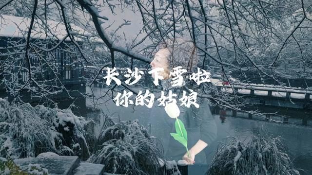 长沙下雪啦 你的姑娘长沙初雪