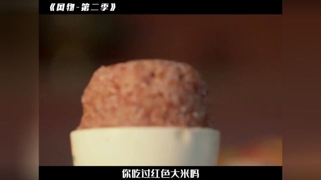 稀有的红色大米,能在盐碱地种水稻的关键之一 #纪录片风物 #种地 #大米 #吃货 #美食