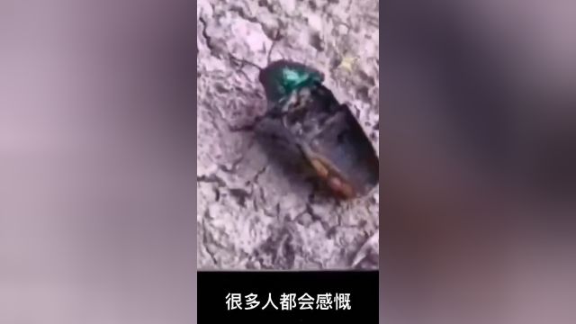 竟然不知道自己已经死了