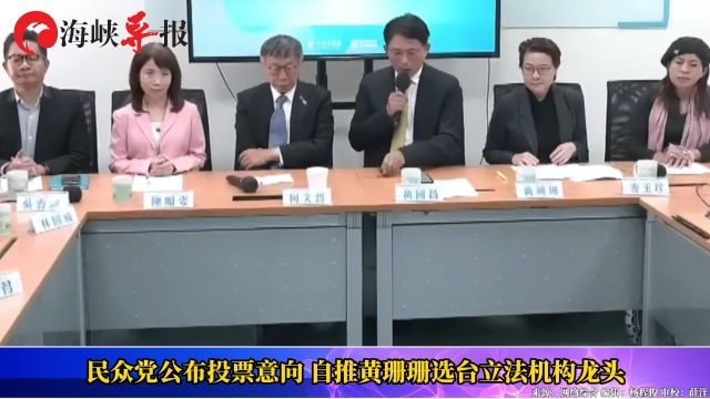 民众党公布投票意向,自推黄珊珊参选台立法机构龙头