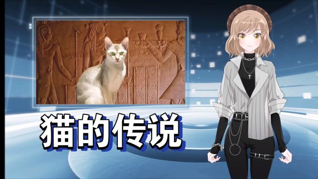 古埃及猫猫的神话故事𐟐𑀀