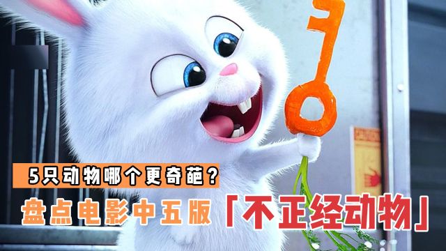 盘点电影里5版不正经的动物,哪个更奇葩?可可爱爱的泰迪熊