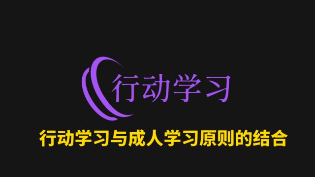 515行动学习与成人学习原则的结合