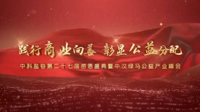 湖北省民营经济促进会常务理事单位中科盐谷公益盛典成功举办