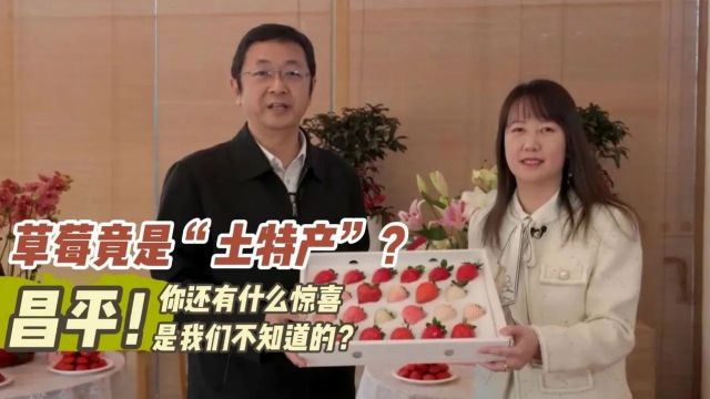 草莓竟是“土特产”?昌平!你还有什么惊喜是我不知道的?