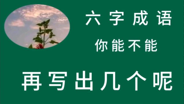 六字成语 你能不能 再写出几个呢