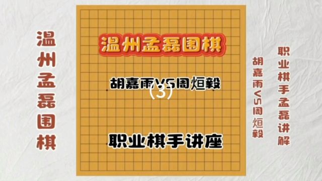 职业棋手讲座温州孟磊围棋3胡嘉雨VS周烜毅