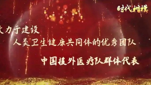 时代楷模:中国援外医疗队群体代表