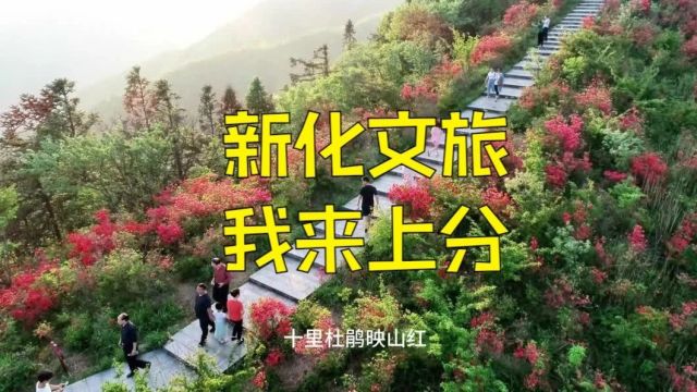 “一见倾新 出神入化”“新化文旅,我来上分”短视频征集活动开始了,奖励多多快来参与!