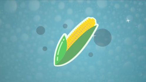第126集 什么是转基因作物，为什么转基因食品会备受争议？