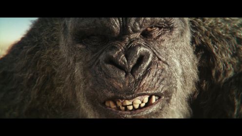 Godzilla x Kong The New Empire  Official Trailer 哥斯拉大战金刚：新帝国