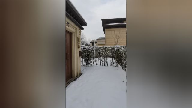 雪落无声洁白无瑕那么安静那么美