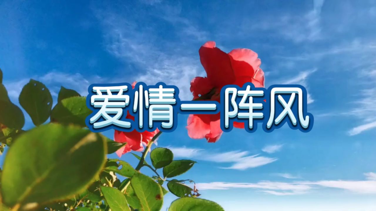 爱情一阵风 - 歌曲