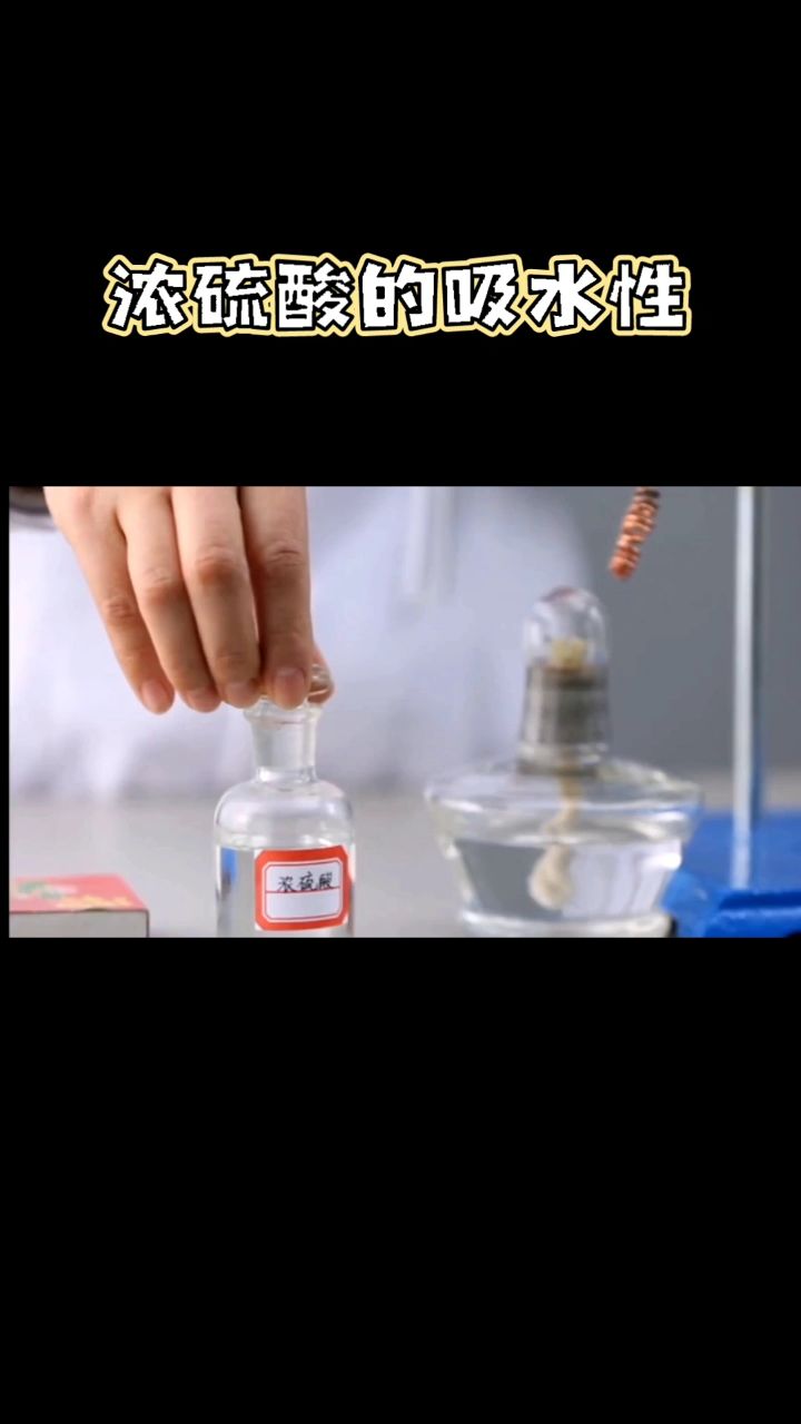 浓硫酸的吸水性