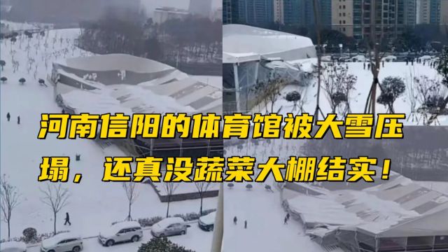 河南信阳的体育馆被大雪压塌,还真没蔬菜大棚结实!