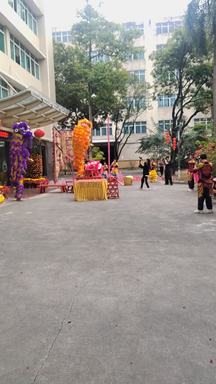 舞狮采青_高清1080P在线观看平台_腾讯视频