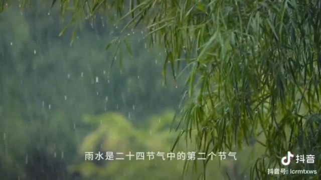 雨水