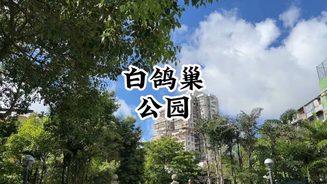 澳门旅行游玩目的地——白鸽巢公园,风景很美值得一去