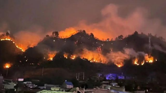 贵州山火需要热度,我也来帮忙宣传添点力