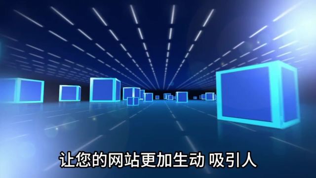 高品质、独特的数字化展示平台