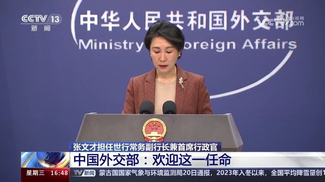 张文才担任世行常务副行长兼首席行政官 中国外交部:欢迎这一任命