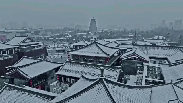 #雪落长安#西安下雪了 西安一下雪就成了长安