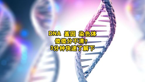 DNA、基因和染色体傻傻分不清？3分钟快速了解下