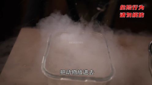 沸点-196℃，液氮有多可怕 1