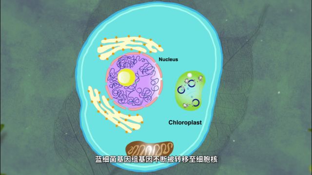 中国科学家揭秘植物关键分子机器,助力绿色“光伏电站”