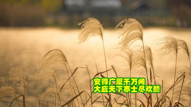 品鉴唐诗 安得广厦千万间 大庇天下寒士俱欢颜 杜甫《茅屋为秋风所破歌》