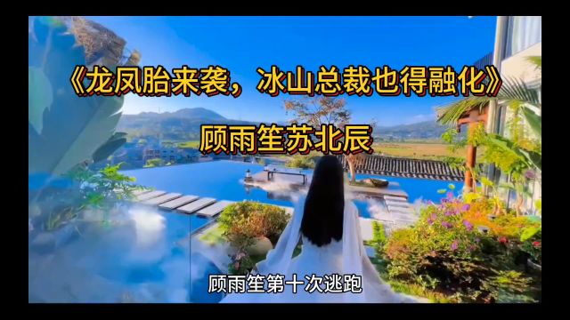 《龙凤胎来袭,冰山总裁也得融化》顾雨笙苏北辰全文在线阅读(必读女频)