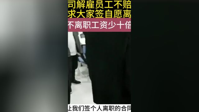 公司解雇员工不赔钱?要求大家签自愿离职,员工:不签工资少十倍#人事#拖欠工资#资讯#劳动法咨询#合同 1##1